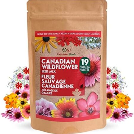 Canadian Wildflower Seed Mix - 13,500 Seeds - 19 Annual & Perennial Varieties for Planting in Canada - Non-GMO Bulk Package Bird Butterfly Bees - 100g Flower Seeds